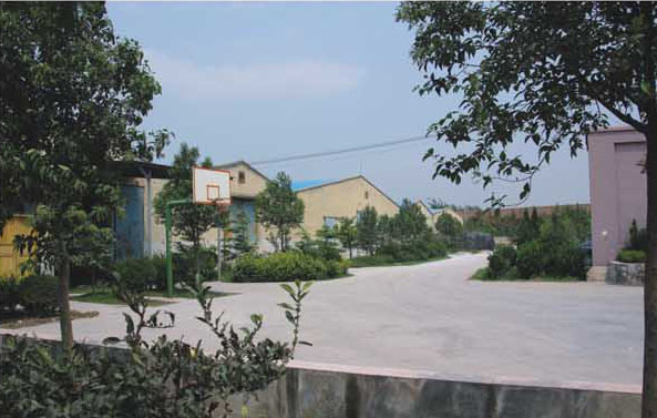 企業(yè)一角